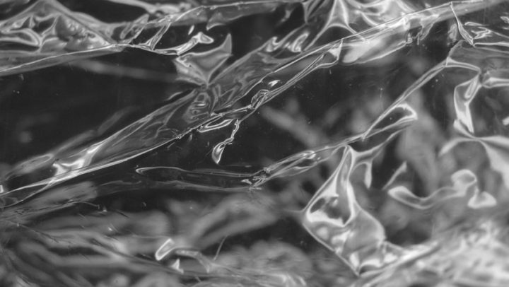 Ftalati-ayurveda-nutricionizam