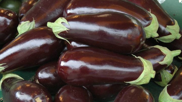 Patlidan-u-ulju-ayurveda-nutricionizam