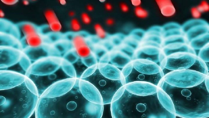 Slobodni-radikali-ayurveda-nutricionizam