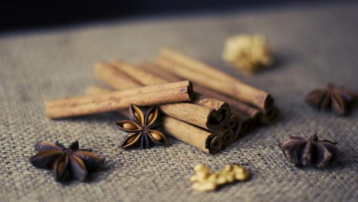 cimet-ayurveda-nutricionizam