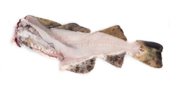 Bakalar-na-bijelo-adhara-ayurveda-nutricionizam