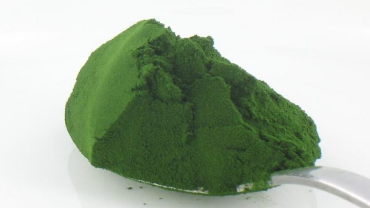 Chorella-pyrenoidosa-adhara-ayurveda-nutricionizam