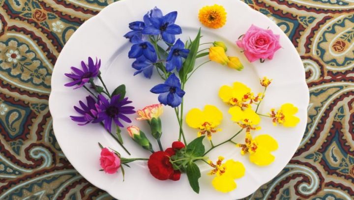 Doktor-u-kuci-pun-tanjur-cvijeca-adhara-ayurveda-nutricionizam