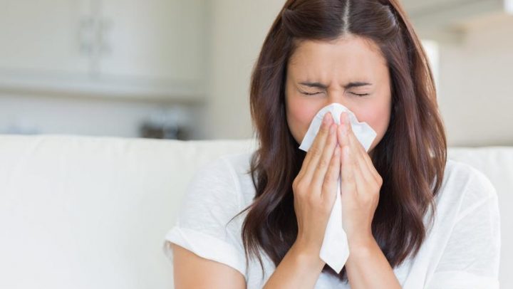 Ravensara–biljka-protiv-prehlade-adhara-ayurveda-nutricionizam