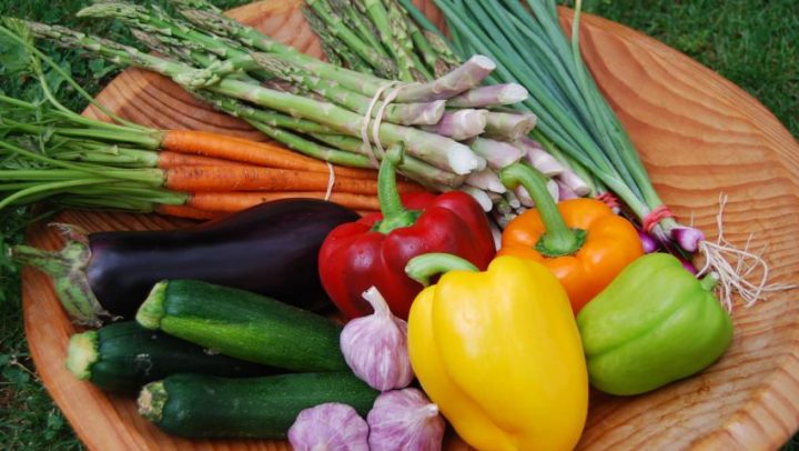 Razlike-u-vegetarijanstvu–vegani-i-vegetarijanci-adhara-ayurveda-nutricionizam