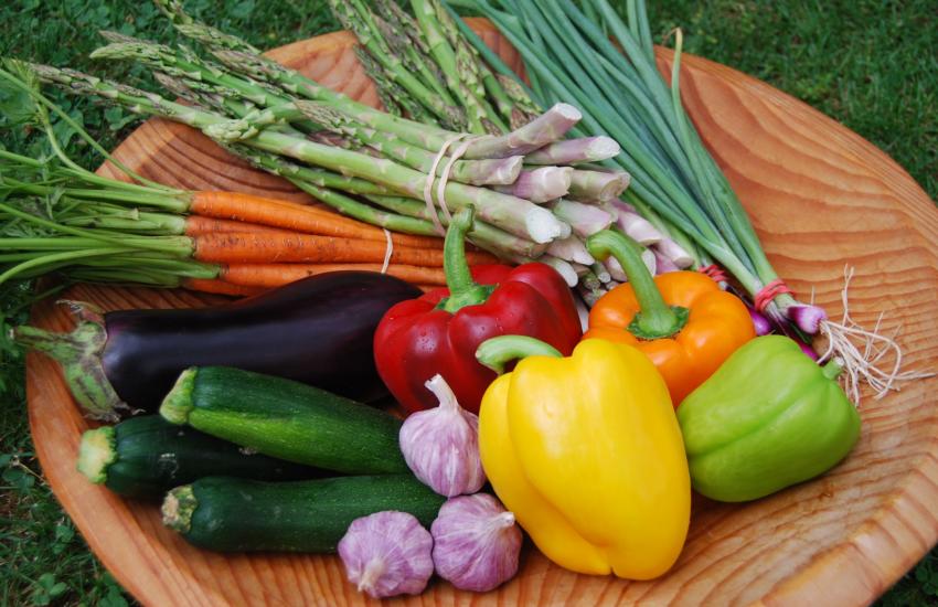 Razlike-u-vegetarijanstvu–vegani-i-vegetarijanci-adhara-ayurveda-nutricionizam