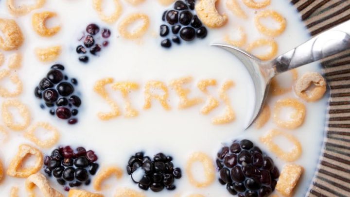 Stres-i-pretilost-adhara-ayurveda-nutricionizam