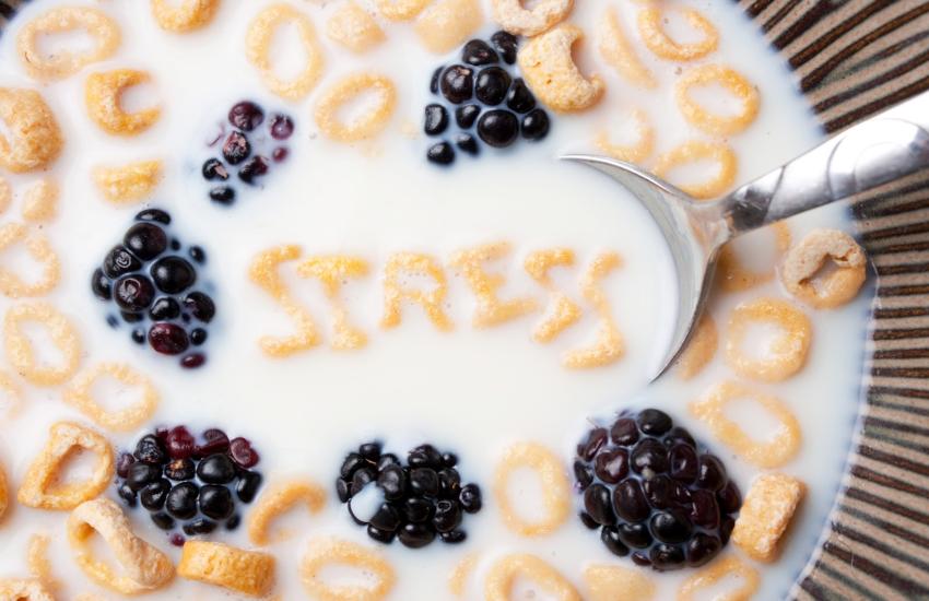 Stres-i-pretilost-adhara-ayurveda-nutricionizam