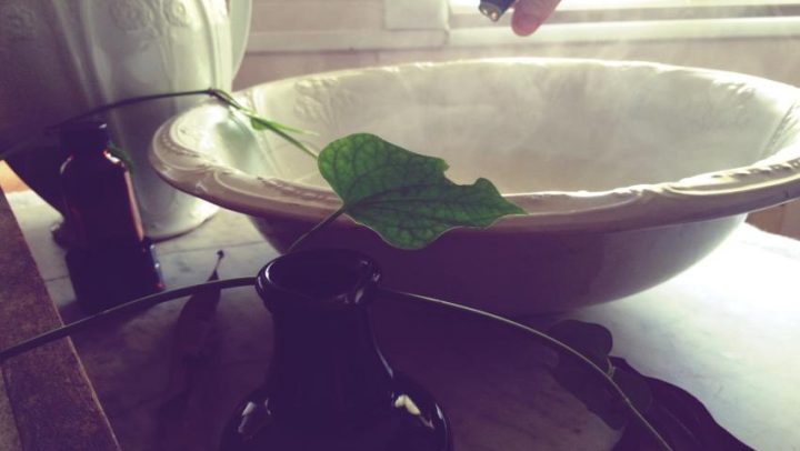 Zacepljeni-sinusi-adhara-ayurveda-nutricionizam