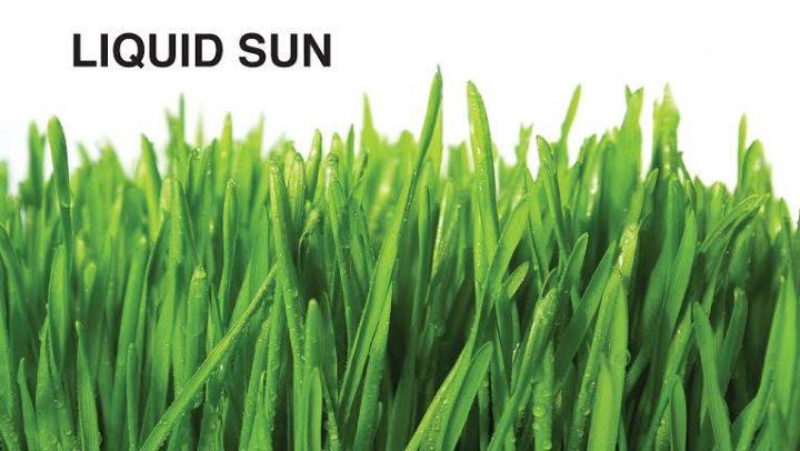 detoksikacija-zelenom-psenicom-adhara-ayurveda-nutricionizam