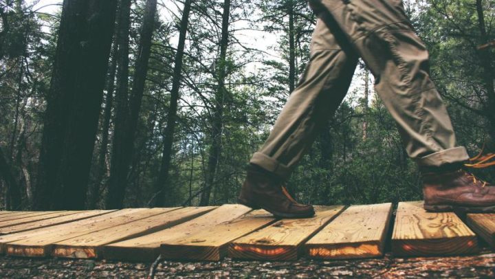 Krenite-s-vjezbanjem-adhara-ayurveda-nutricionizam