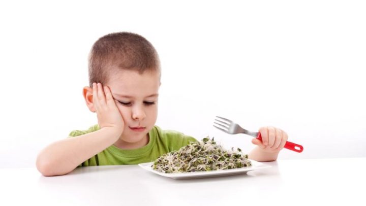 Clanak-pravilnim-unosom-namirnica-do-zdravlja-adhara-ayurveda-nutricionizam