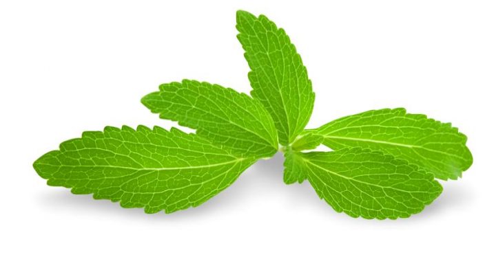 stevija-adhara-ayurveda-nutricionizam