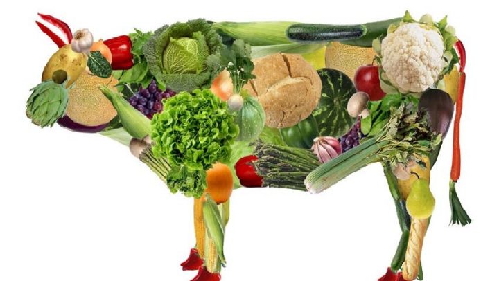 Ice-i-pice-vegetarijanska-prehrana-adhara-ayurveda-nutricionizam