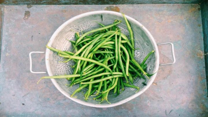 Zasto-vlakna-uvrstiti-u-prehranu-adhara-ayurveda-nutricionizam