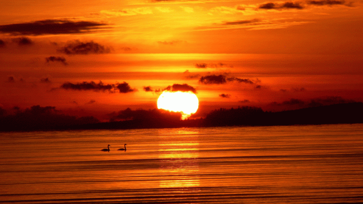 Kako bi se dobro zdravlje postiglo, ali i održalo, ayurveda preporuča primjenjivanje specifične dnevne rutine („dinacharya“), ali i sezonskog režima („rinacharya“).