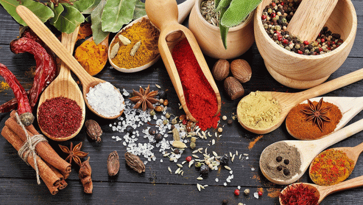 zadar-zivi-dravo-adhara-ayurveda-nutricionizam