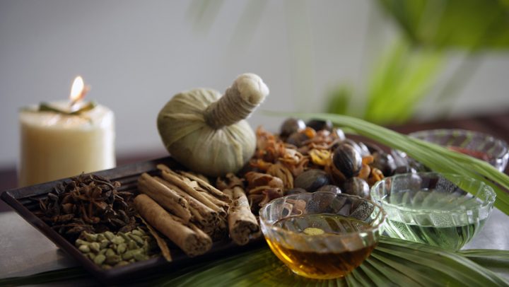 certificirana-edukacija-adhara-nutricionizam-ayurveda