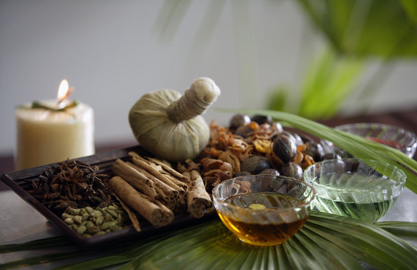 certificirana-edukacija-adhara-nutricionizam-ayurveda