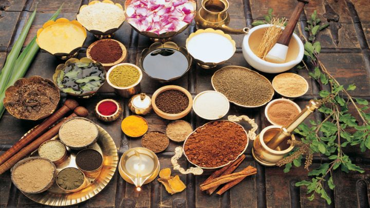 uloga-zacina-adhara-nutricionizam-ayurveda