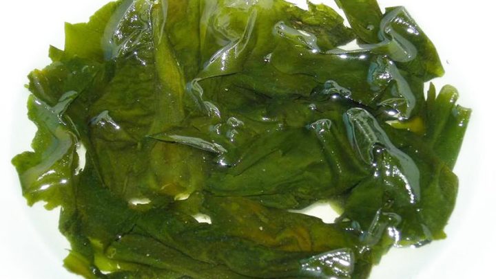 zivjeti-od-zraka-i-algi-adhara-nutricionizam-ayurveda