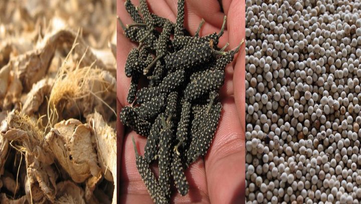 trikatu-adhara-nutricionizam-ayurveda