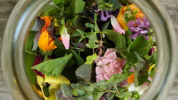 biljni-pripravci-adhara-nutricionizam-ayurveda