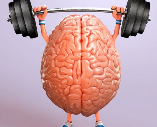 fitness-mozak-adhara-centar-nutricionizam