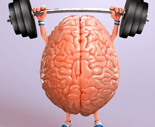 fitness-mozak-adhara-centar-nutricionizam